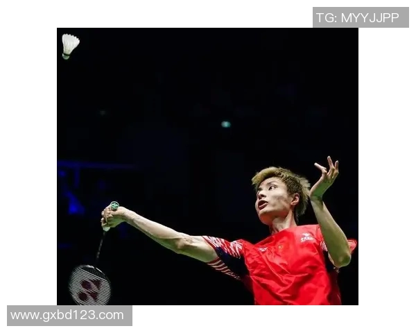 羽毛球灵活性评比结果揭晓北京羽毛球队荣获第六名佳绩